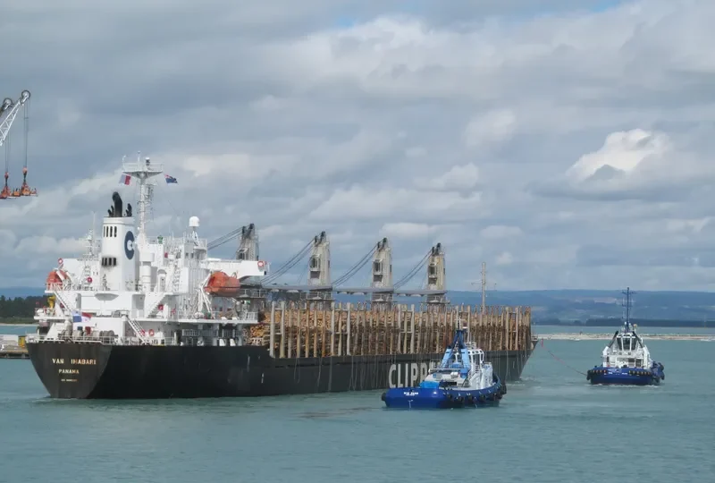 ERIKETI Bulk Carrier IMO 9445136