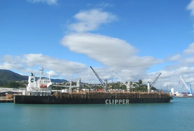 ERIKETI Bulk Carrier IMO 9445136 photo 2