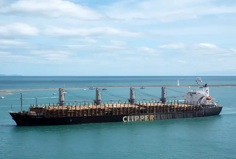 ERIKETI Bulk Carrier IMO 9445136 photo 5