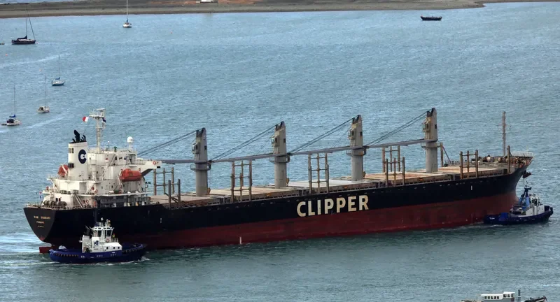 ERIKETI Bulk Carrier IMO 9445136 photo 7