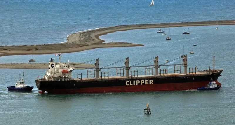 ERIKETI Bulk Carrier IMO 9445136 photo 8