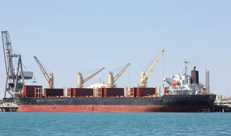 INASE Bulk Carrier IMO 9445148 photo 5