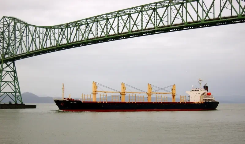 INASE Bulk Carrier IMO 9445148 photo 6