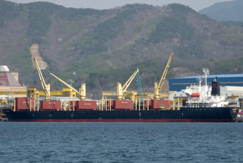 INASE Bulk Carrier IMO 9445148 photo 9