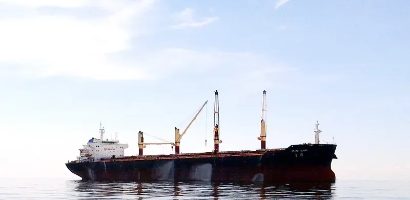 GRAND HERMES Bulk Carrier IMO 9445162 photo 2