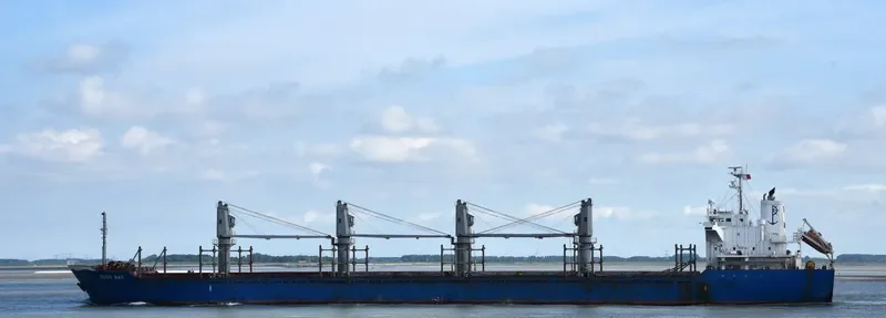 REK GRACE Bulk Carrier IMO 9445203 photo 3
