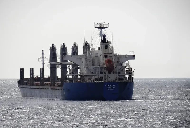 REK GRACE Bulk Carrier IMO 9445203 photo 6