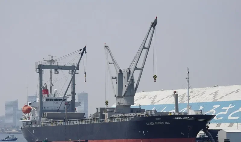 OCEAN GEMSTONE General Cargo IMO 9445239 photo 9