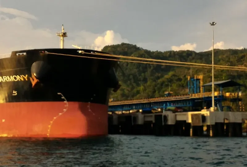 FPMC B HARMONY Bulk Carrier IMO 9445277