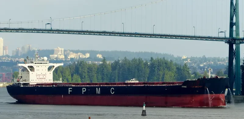 FPMC B HARMONY Bulk Carrier IMO 9445277 photo 5