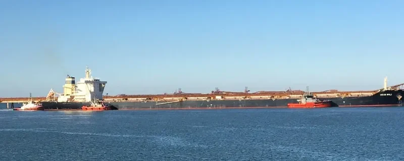 OCEAN WORLD Bulk Carrier IMO 9445289