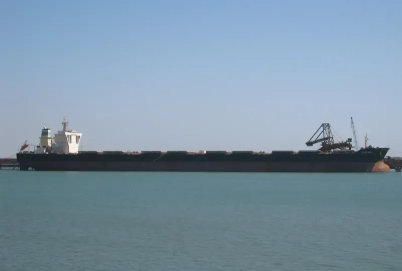 OCEAN WORLD Bulk Carrier IMO 9445289 photo 5