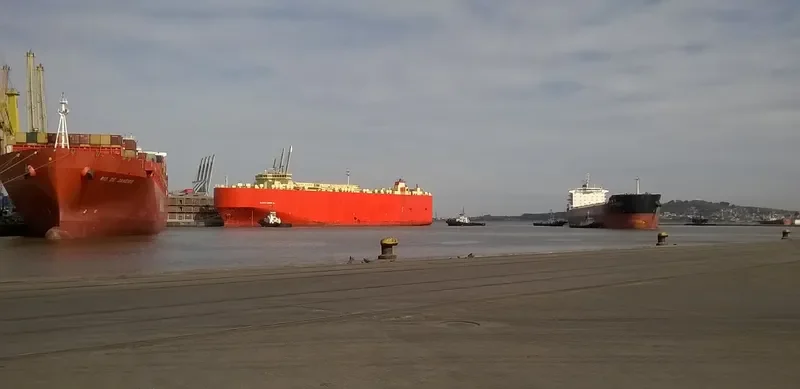 GLOVIS SOLOMON General Cargo IMO 9445409 photo 2