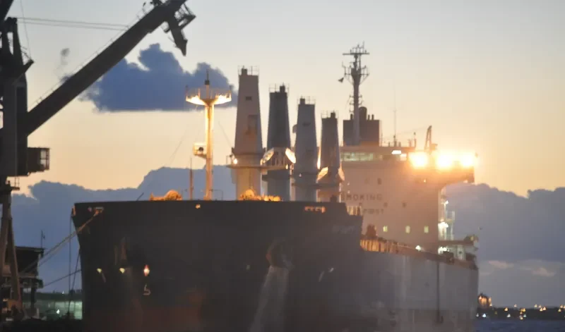 INFINITY V Bulk Carrier IMO 9445679 photo 3