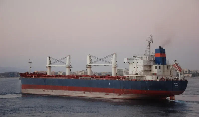 INFINITY V Bulk Carrier IMO 9445679 photo 7