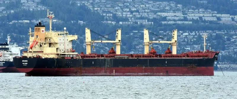 ECOPACIFIC Bulk Carrier IMO 9445693 photo 3