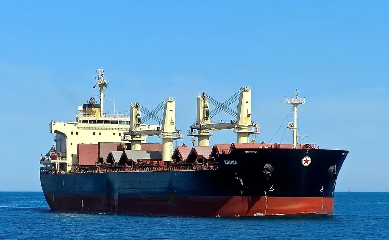 ECOPACIFIC Bulk Carrier IMO 9445693 photo 6