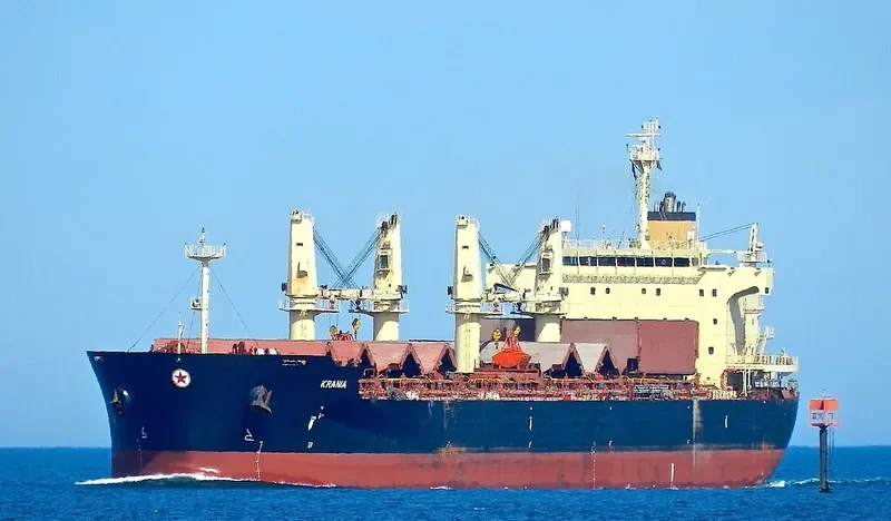 ECOPACIFIC Bulk Carrier IMO 9445693 photo 7