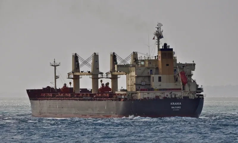 ECOPACIFIC Bulk Carrier IMO 9445693 photo 8