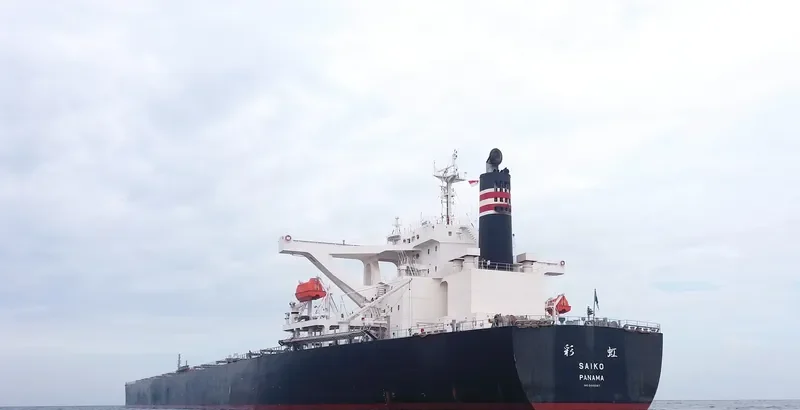SAIKO Bulk Carrier IMO 9446087