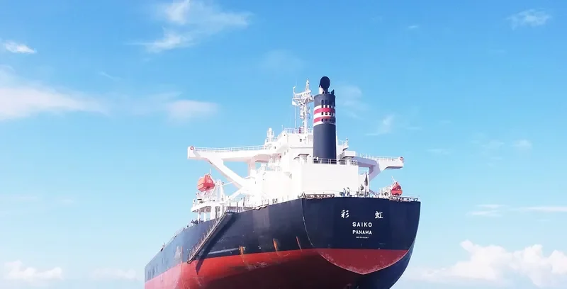 SAIKO Bulk Carrier IMO 9446087 photo 2