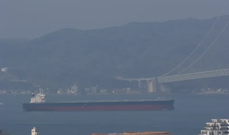 SAIKO Bulk Carrier IMO 9446087 photo 6