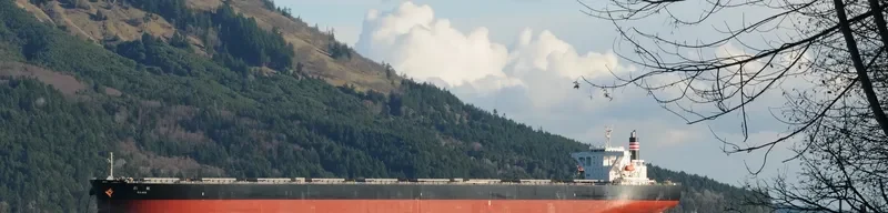 SAIKO Bulk Carrier IMO 9446087 photo 10