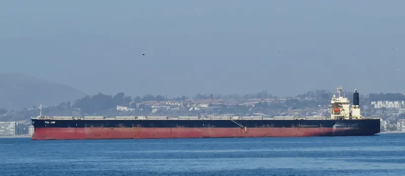 PSU CMP Bulk Carrier IMO 9446099 photo 3