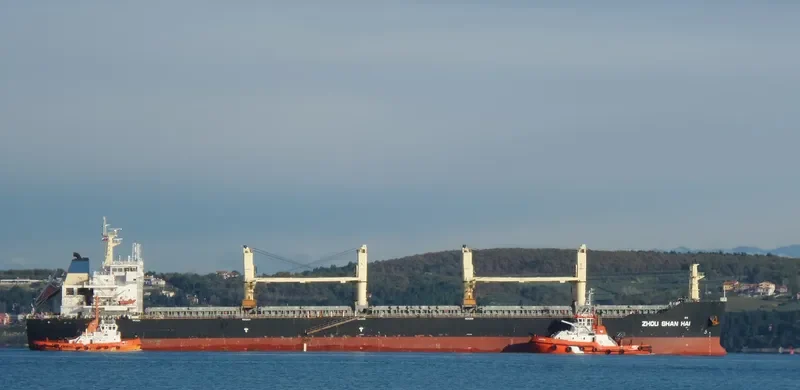 ZHOU SHAN HAI Bulk Carrier IMO 9446180 photo 7