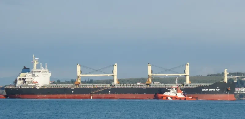 ZHOU SHAN HAI Bulk Carrier IMO 9446180 photo 8