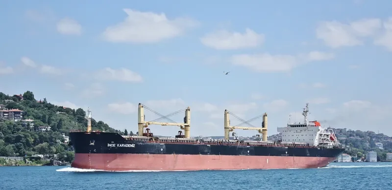 INCE KARADENIZ Bulk Carrier IMO 9446192 photo 2