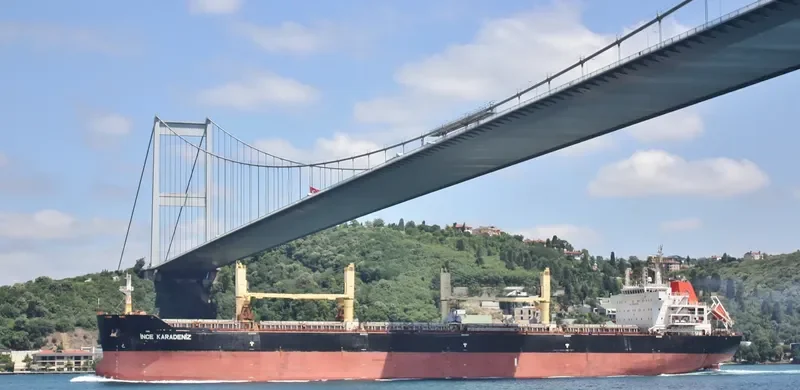 INCE KARADENIZ Bulk Carrier IMO 9446192 photo 3