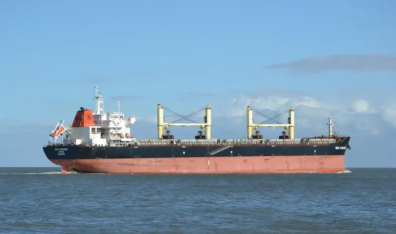 INCE KARADENIZ Bulk Carrier IMO 9446192 photo 5
