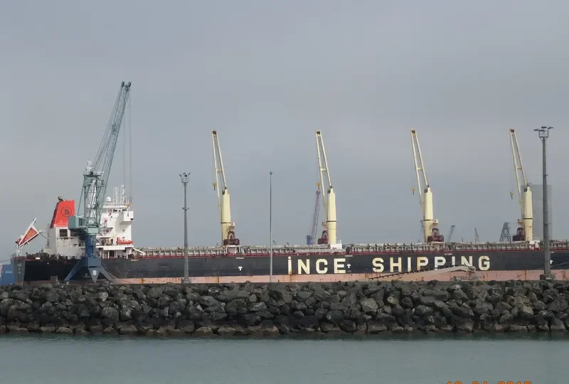 INCE KARADENIZ Bulk Carrier IMO 9446192 photo 8
