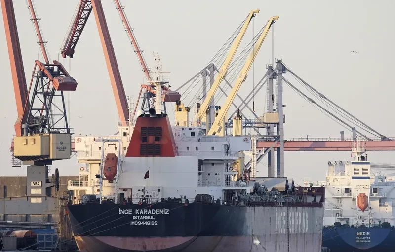 INCE KARADENIZ Bulk Carrier IMO 9446192 photo 9