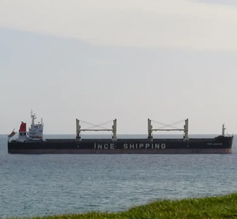INCE KARADENIZ Bulk Carrier IMO 9446192 photo 10