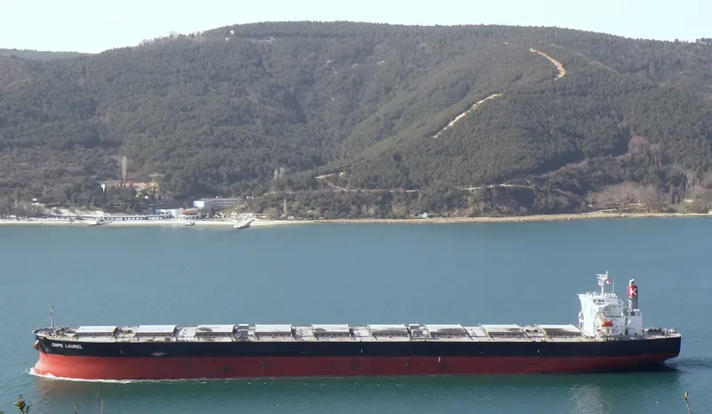CAPE LAUREL Bulk Carrier IMO 9446439 photo 6