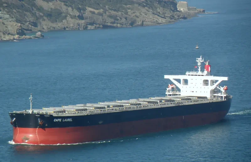 CAPE LAUREL Bulk Carrier IMO 9446439 photo 8