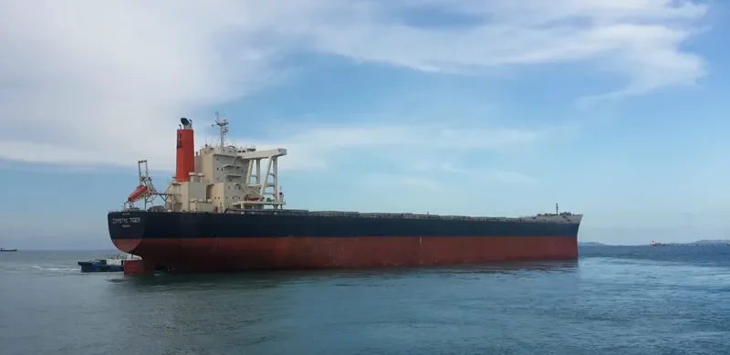 CRYSTAL TIGER Bulk Carrier IMO 9446518