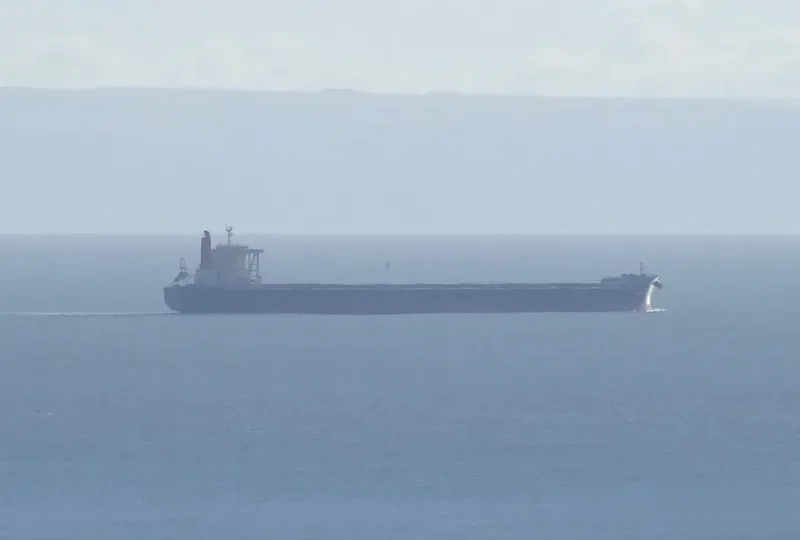 CRYSTAL TIGER Bulk Carrier IMO 9446518 photo 10