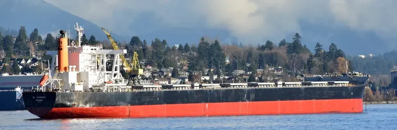 HL SHIKOKU Bulk Carrier IMO 9446532 photo 3