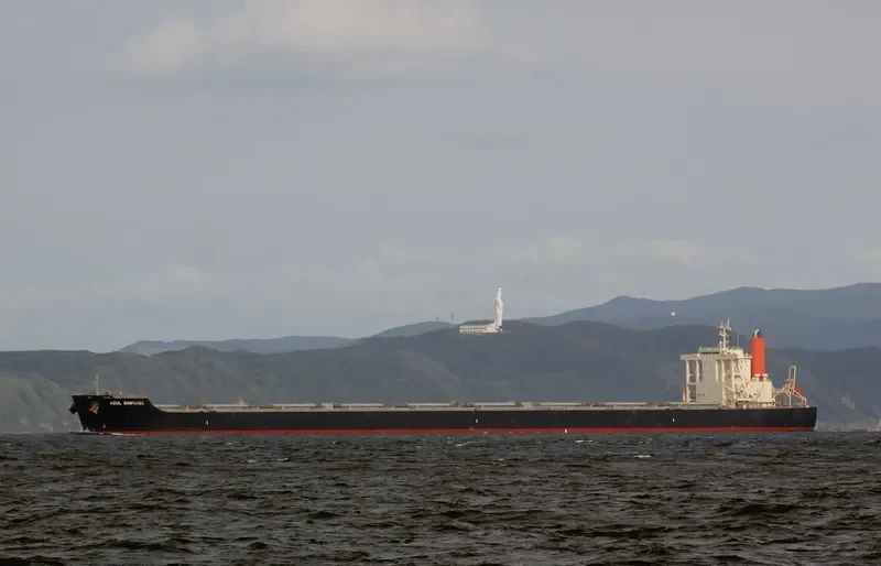 AZUL SINFONIA Bulk Carrier IMO 9446556