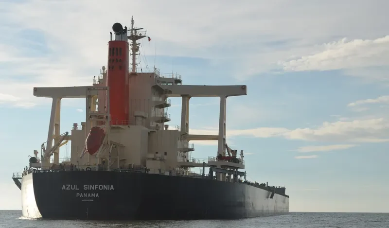 AZUL SINFONIA Bulk Carrier IMO 9446556 photo 3