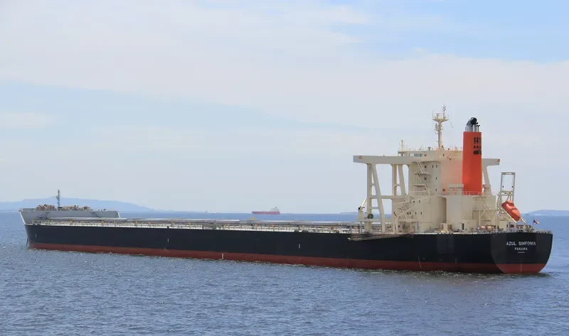 AZUL SINFONIA Bulk Carrier IMO 9446556 photo 7