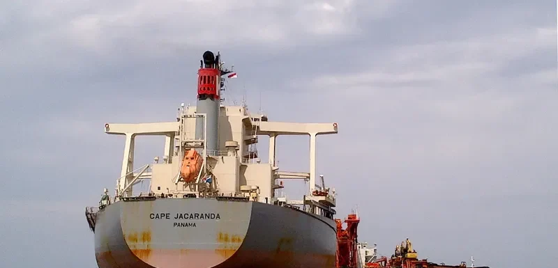 CAPE JACARANDA Bulk Carrier IMO 9446594 photo 2