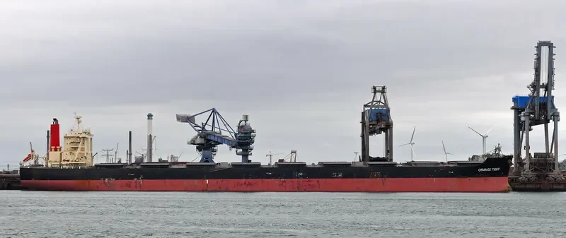 ORANGE TIGER Bulk Carrier IMO 9446611 photo 3