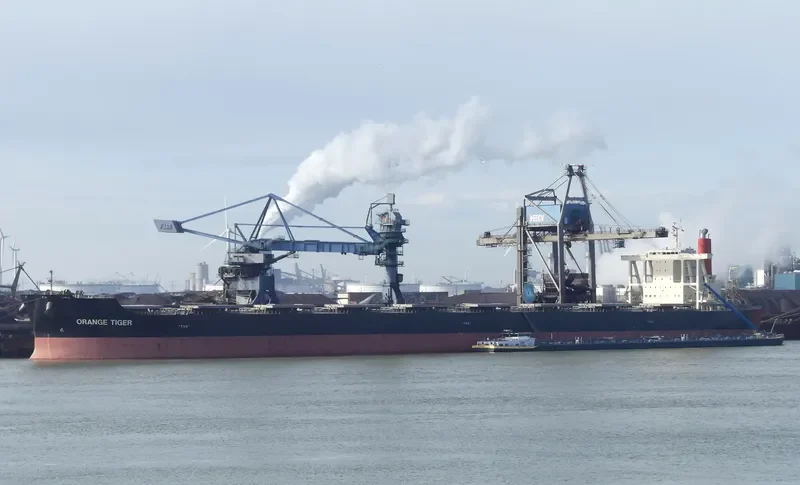 ORANGE TIGER Bulk Carrier IMO 9446611 photo 6