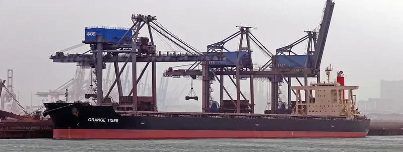 ORANGE TIGER Bulk Carrier IMO 9446611 photo 8