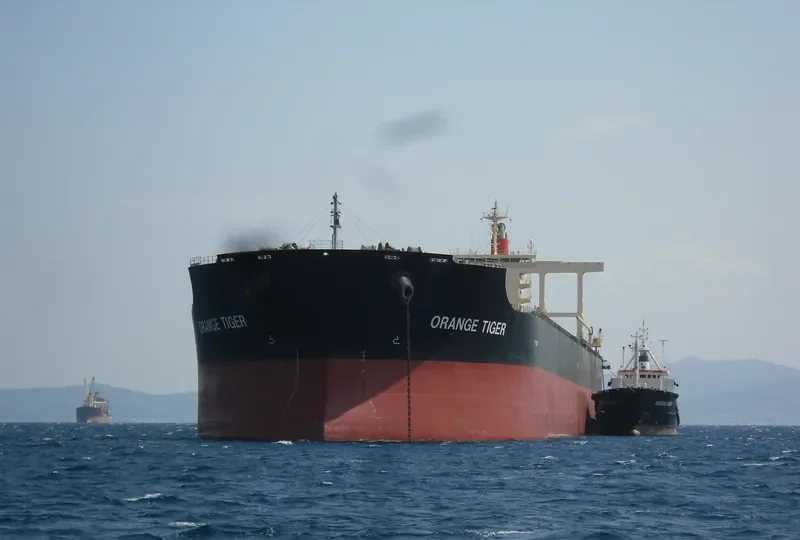 ORANGE TIGER Bulk Carrier IMO 9446611 photo 10