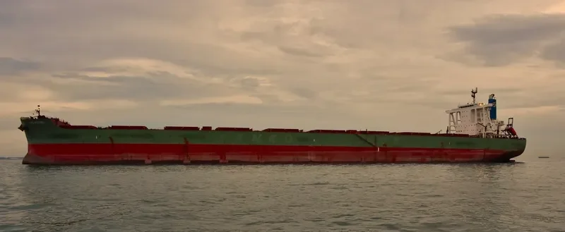 CAPE BUZZARD Bulk Carrier IMO 9446623 photo 2